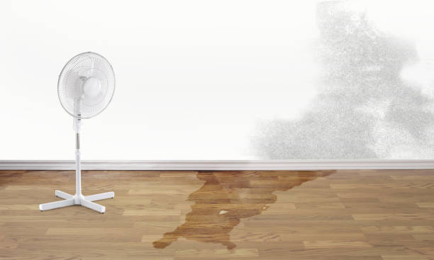 Water damage restoration insurance claims in MD
