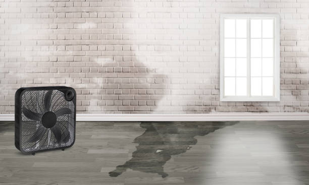 Best Fire Damage Restoration  in Taneytown, MD