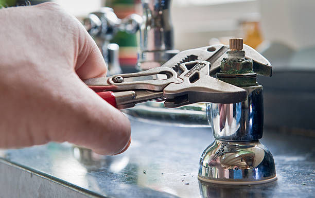 Best Professional water damage repair  in Taneytown, MD