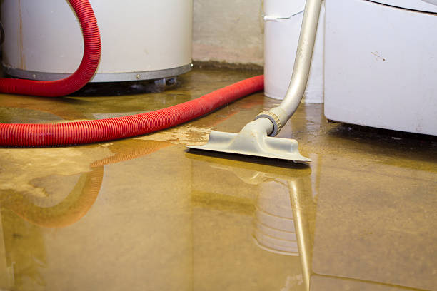 Best Basement water damage restoration  in Taneytown, MD