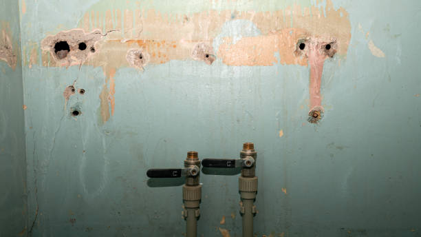 Best Commercial water damage restoration  in Taneytown, MD