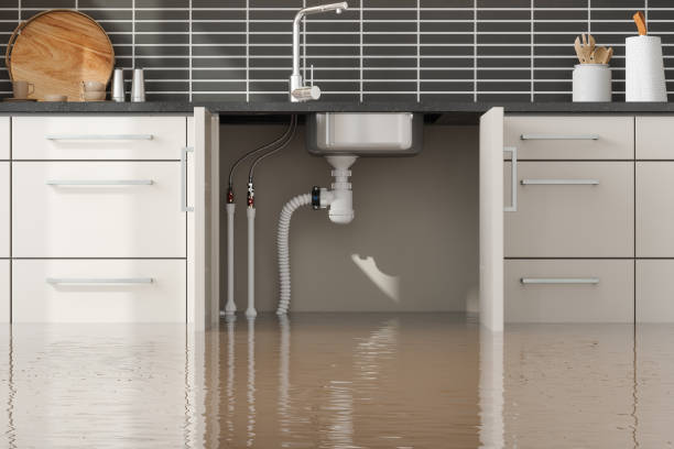 Best Mold removal after water damage  in Taneytown, MD