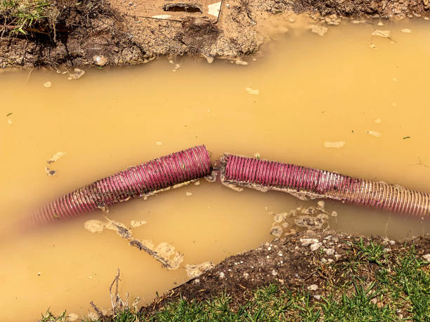 Best Water damage restoration insurance claims  in Taneytown, MD