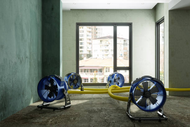 Best Water damage contractors near me  in Taneytown, MD