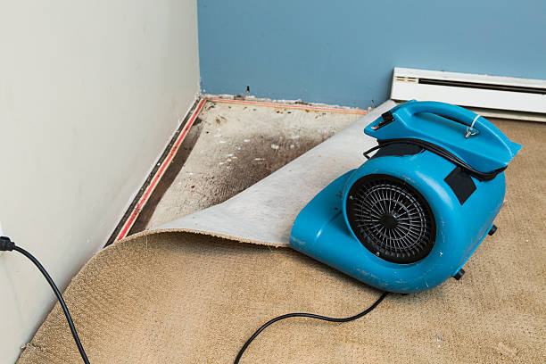  Taneytown, MD Water damage restoration Pros